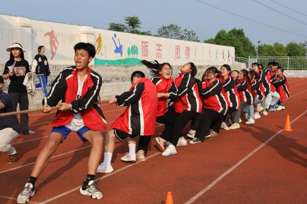 常德德才科技職業(yè)學校,常德招生就業(yè),電子商務(wù)專業(yè)學校,專業(yè)學校報考哪里好